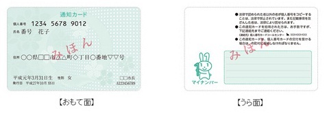 写真：通知カード（見本）