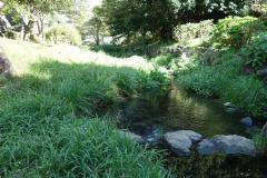 写真：上谷戸親水公園2