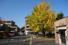 写真：よみうりランド駅南口駅前広場