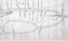 写真：水争いの古文書