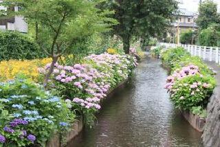 写真：大丸用水