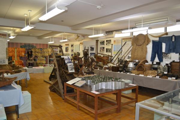 写真：展示の様子