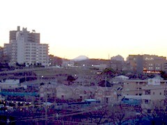 写真：会議室からの見える風景