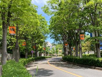 写真：フラッグ設置個所4