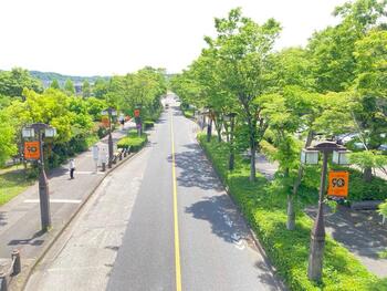 写真：フラッグ設置個所5