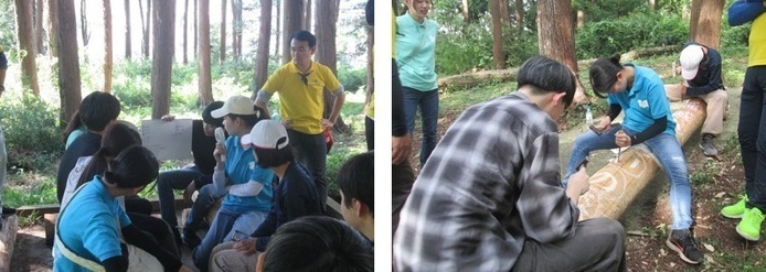 写真：第3回活動の様子