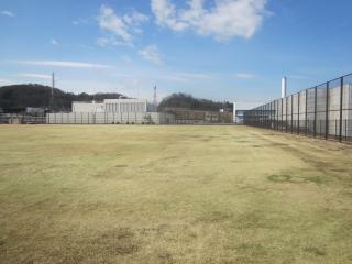 写真：南多摩スポーツ広場（多目的広場）2