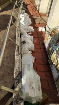 写真：ごみの不適切な出し方の例2