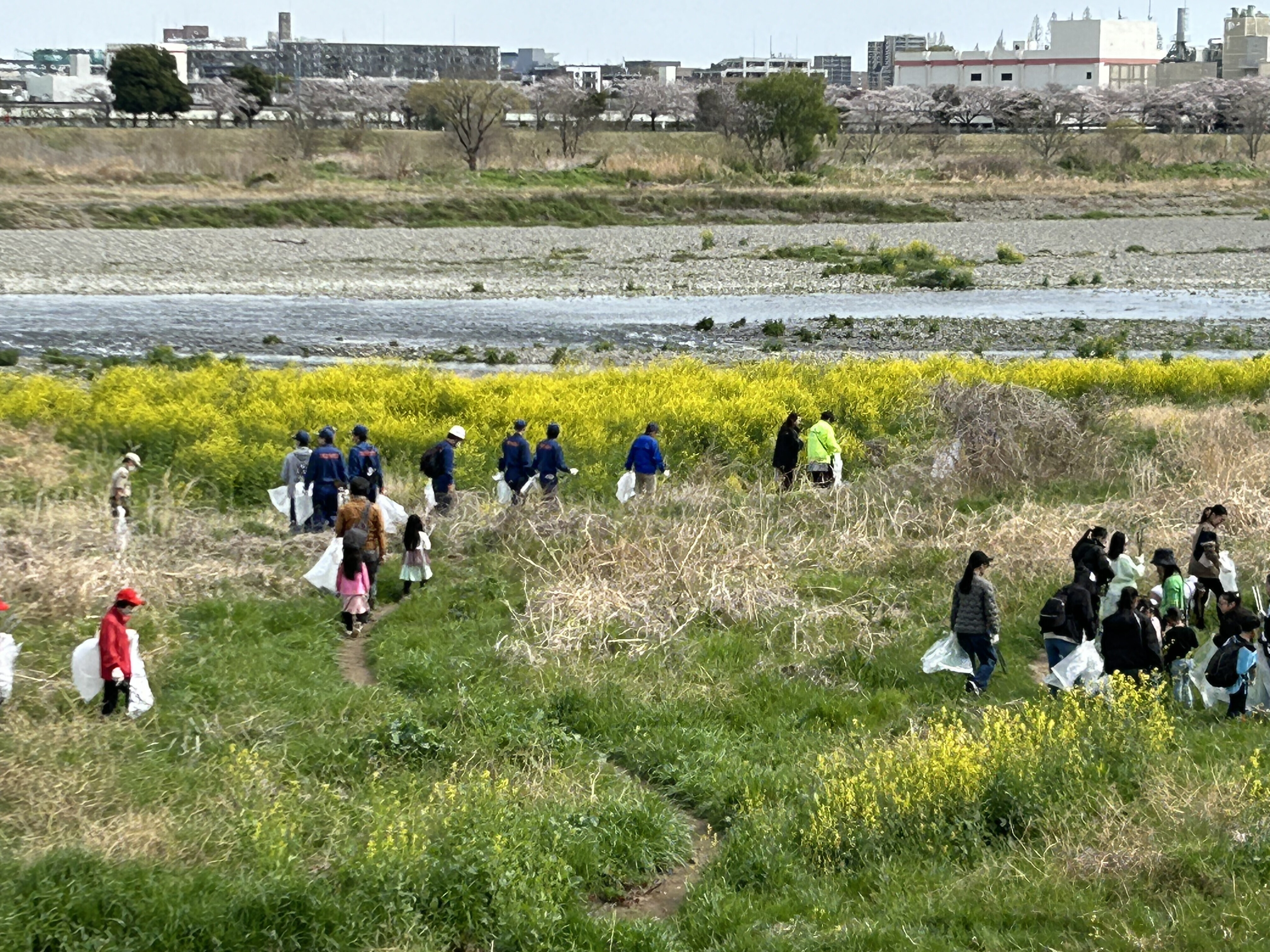 写真：北緑地公園周辺の清掃の様子