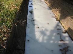 写真：水質汚濁した河川1