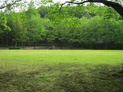 写真：城山公園4