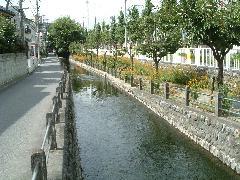 写真：公園の様子