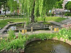 写真：大丸親水公園3