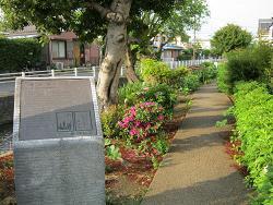 写真：大丸親水公園4