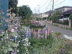 写真：活動場所2