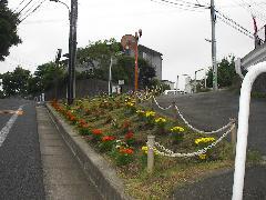 写真：活動場所