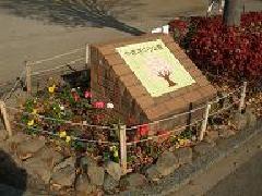 写真：活動場所の様子