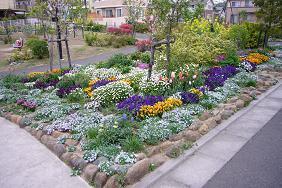 写真：えのき公園