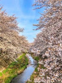 写真：佳作「君の側に」