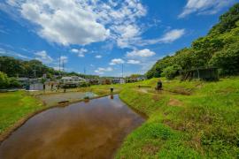 写真：優秀賞「初夏の風物詩」