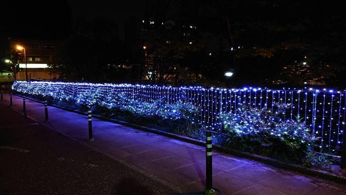 写真：ライトアップ2