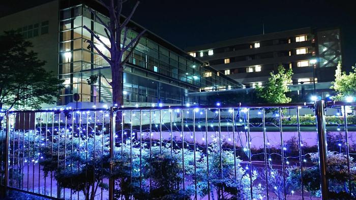 写真：ライトアップ1