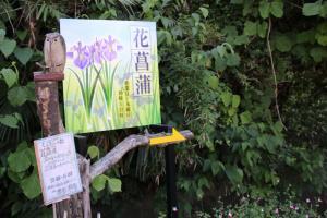 写真：しょうぶの杜