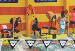 写真：大会の様子