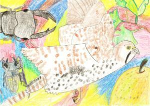 写真：応募絵画3