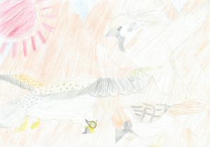 写真：応募絵画2