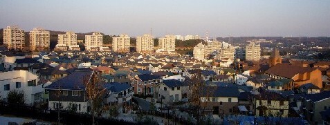 写真：若葉台西地区