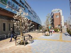 写真：駅前広場北側