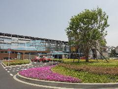 写真：駅前広場南側