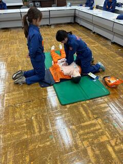 写真：胸骨圧迫訓練