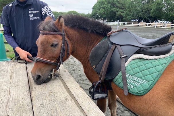 第42回開催時ポニーライド