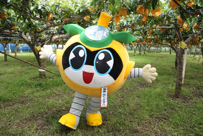 稲城なしのすけの画像