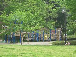 写真：大丸公園6