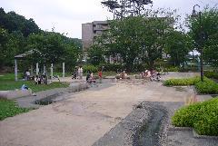 写真：公園