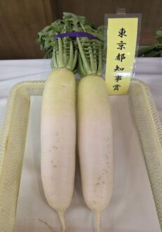 大根