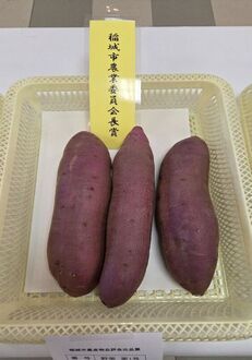 さつまいも