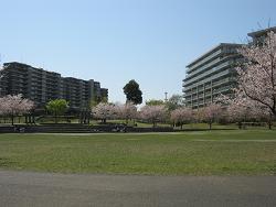 写真：遊具1