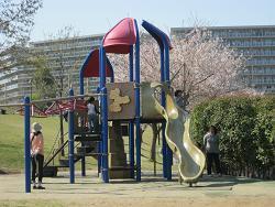 写真：遊具2