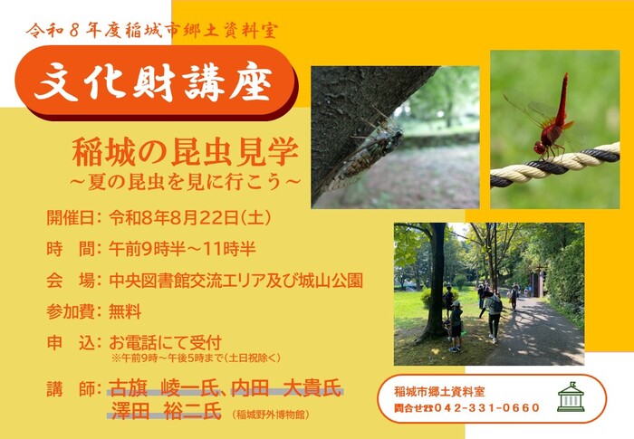 昆虫