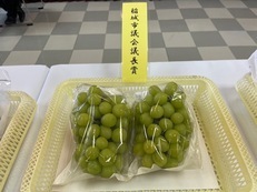 稻城市议会议长奖