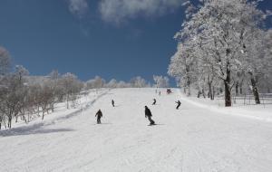 照片:享受滑雪和单板滑雪的情景