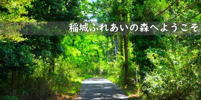 稻城交流森林（青少年健全成长设施）是什么