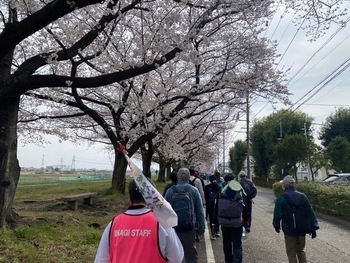 照片：一周步行的情况