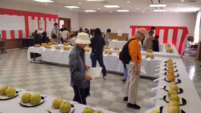 第55届农产品评比会(第一弹)的情况