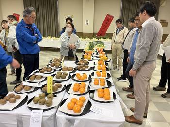 Judging Session Highlights 1