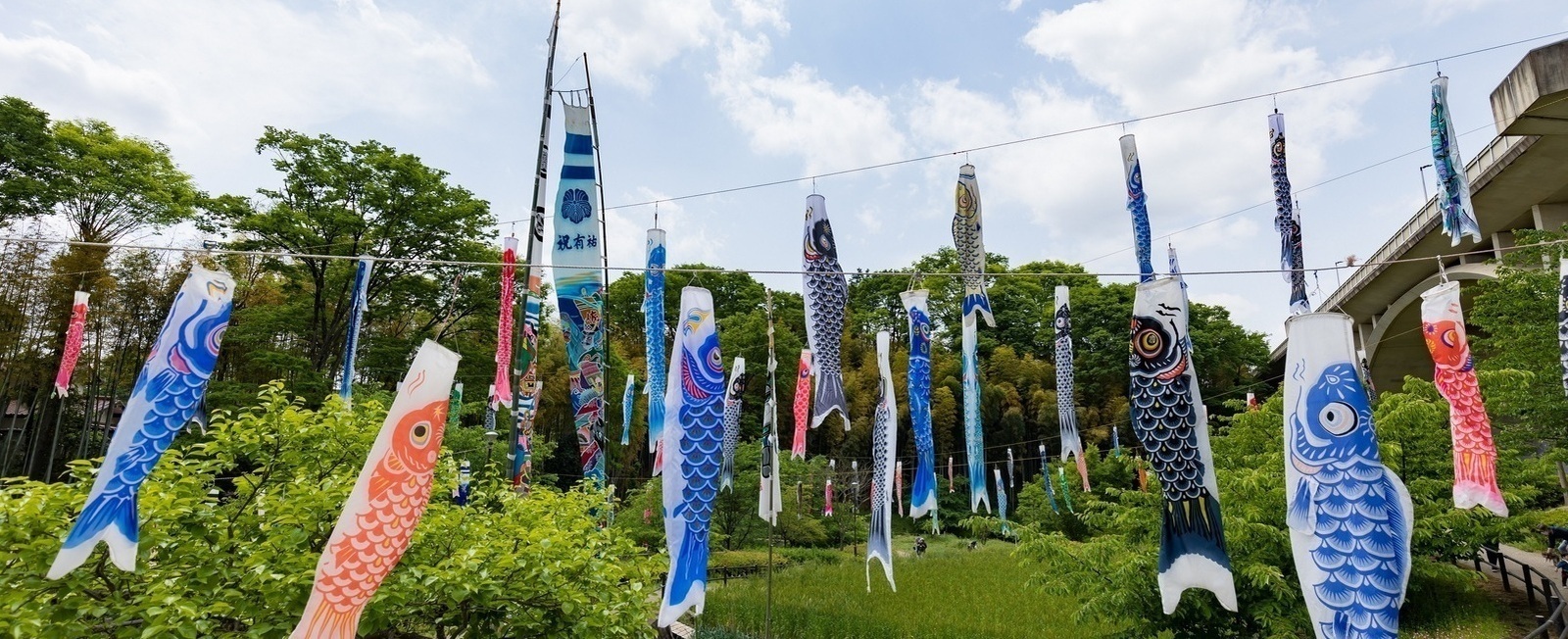 Photo: Koinobori at Kasayato Bridge